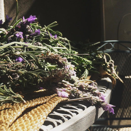 Strawberries & Lavender:  Springtime Soulmates