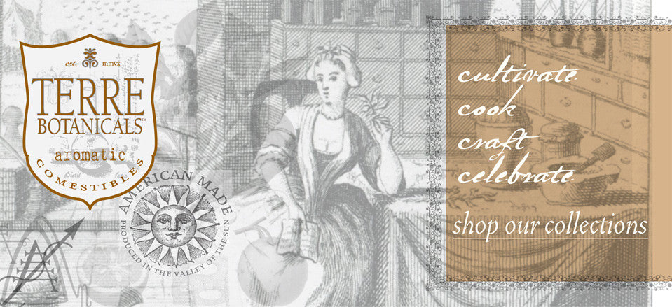 Shop our Collections
